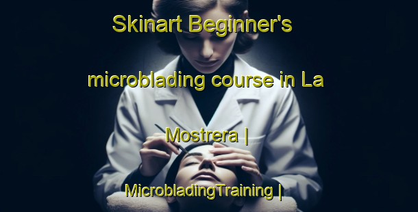 Skinart Beginner's microblading course in La Mostrera | MicrobladingTraining | MicrobladingClasses | SkinartTraining-Mexico